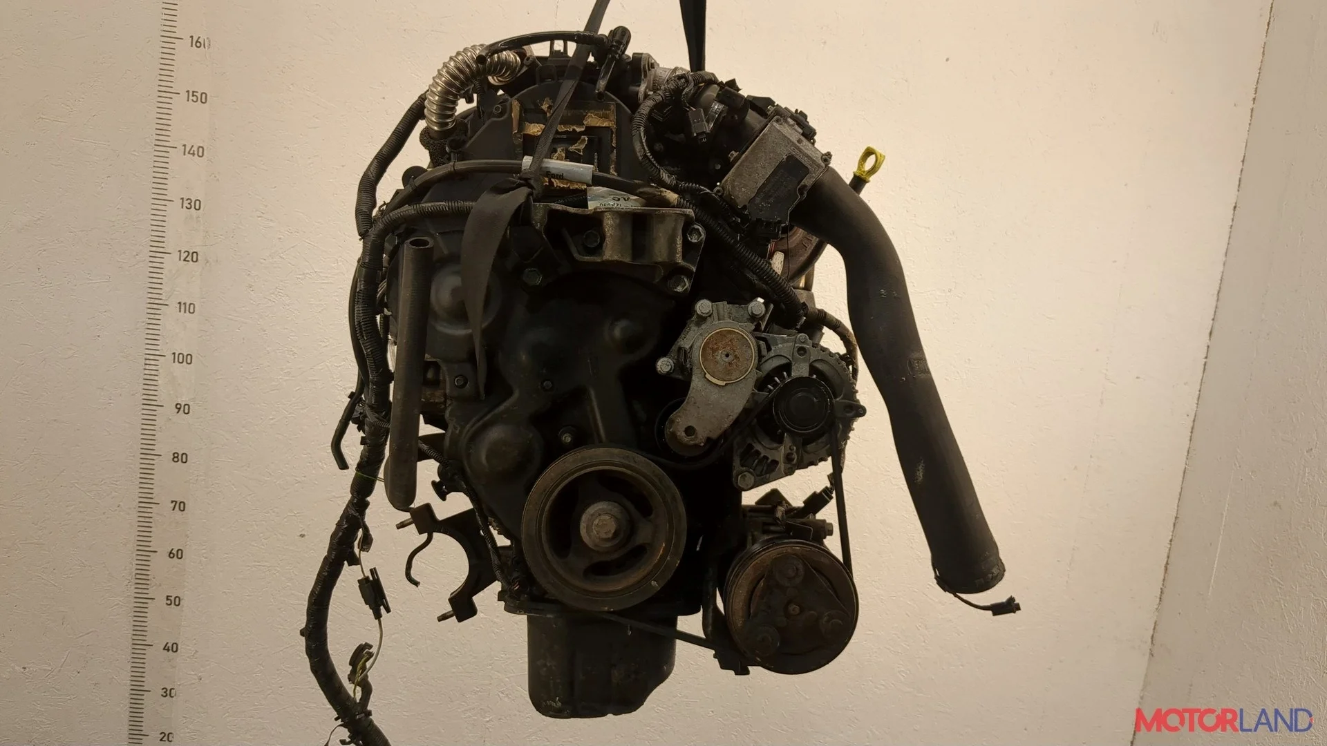 Двигатель (ДВС) Ford Focus 2 2008-2011 КПП 5-ст.мех.(МКПП) G8DA, G8DB, G8DC, G8DD, G8DE, G8DF Дизель 1.6 л TDCI