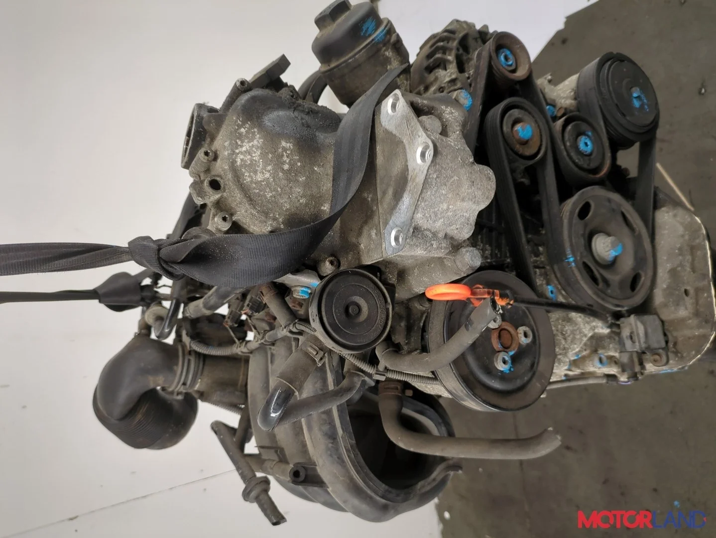 Двигатель (ДВС) Volkswagen Polo 2005-2009 КПП 5-ст.мех.(МКПП) BMD Бензин 1.2 л Инжектор