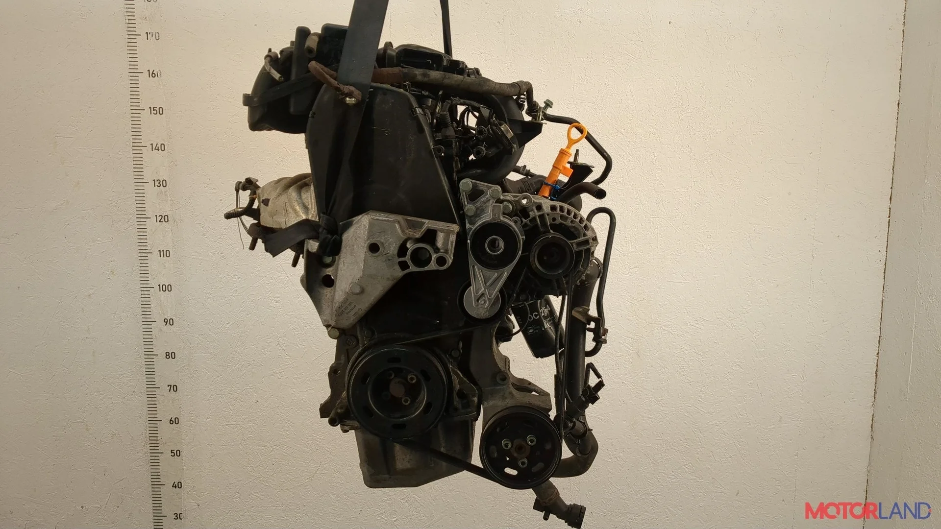 Двигатель (ДВС) Audi A3 (8L) 1996-2003 КПП 5-ст.мех.(МКПП) AKL Бензин 1.6 л Инжектор