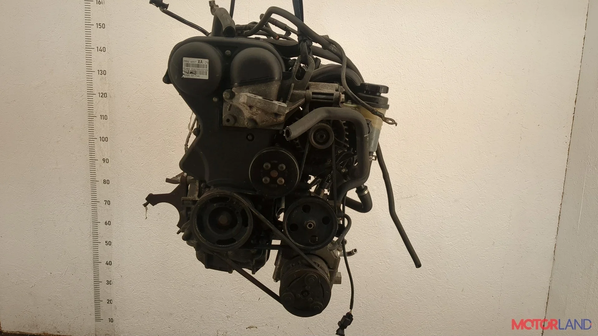 Двигатель (ДВС) Ford Focus 2 2008-2011 КПП 5-ст.мех.(МКПП) SHDA, SHDC Бензин 1.6 л Инжектор