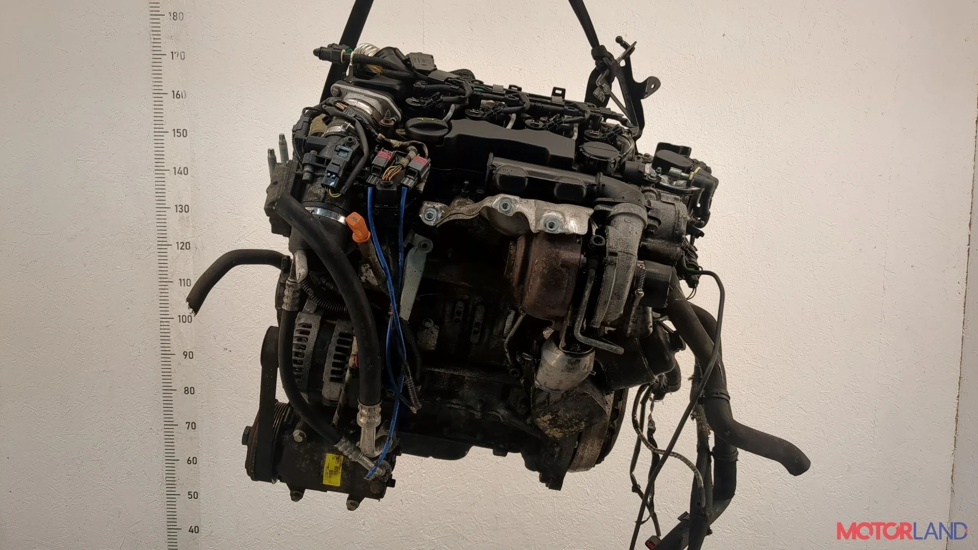 Двигатель (ДВС) Ford Focus 2 2008-2011 КПП 5-ст.мех.(МКПП) G8DA, G8DB, G8DC, G8DD, G8DE, G8DF Дизель 1.6 л TDCI