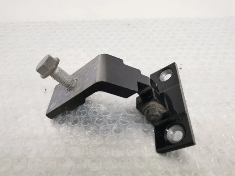 Петля двери Bmw X5 2011 41527201302 E70 N55B30, задняя левая