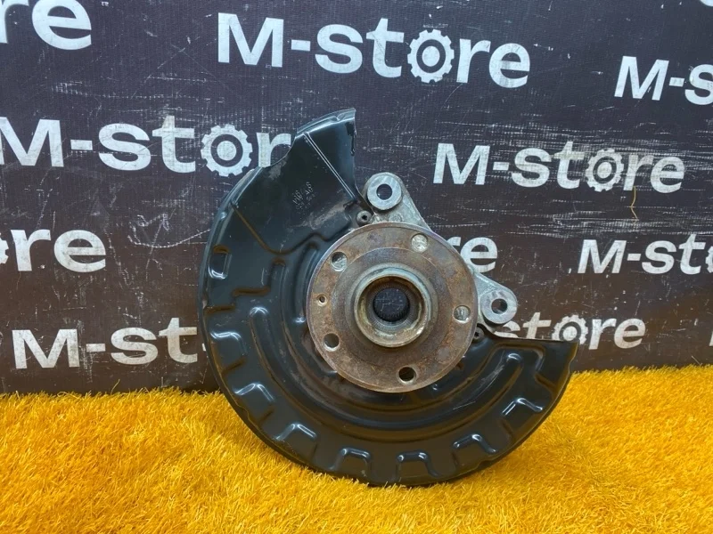 Кулак поворотный Volkswagen Passat Cc 2008 3C0407253F B6/358 BWS, передний левый