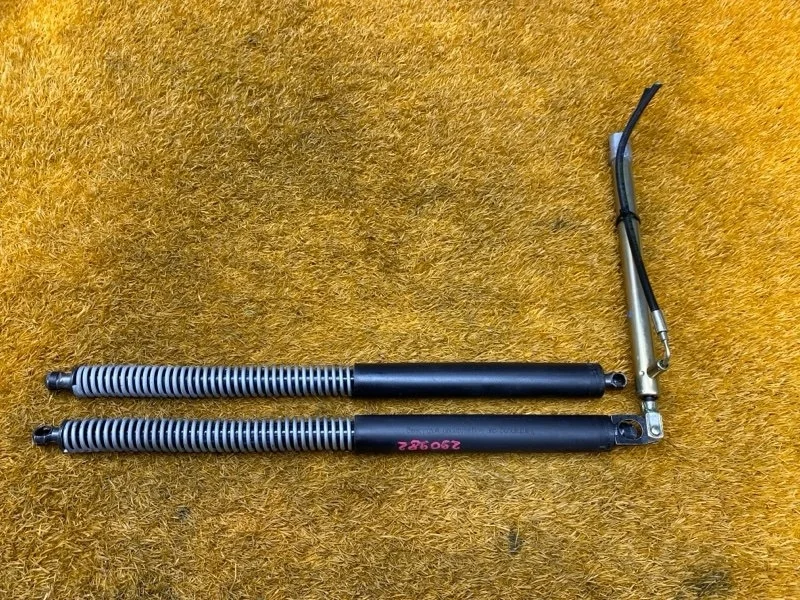 Амортизатор багажника Bmw 7-Series 2006 7042104 E65 N62B48B