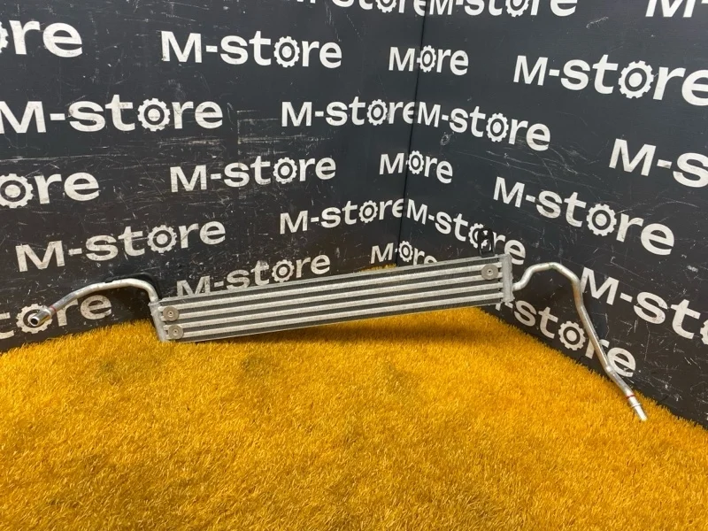 Радиатор гур Bmw 5-Series 2005 17217519215 E60 N52B25A