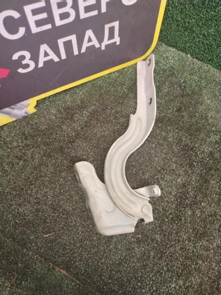 Петля капота Kia Rio 2021 79120H0000 FB G4FG, правая