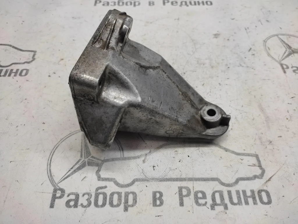 Лапа левая Mercedes-Benz