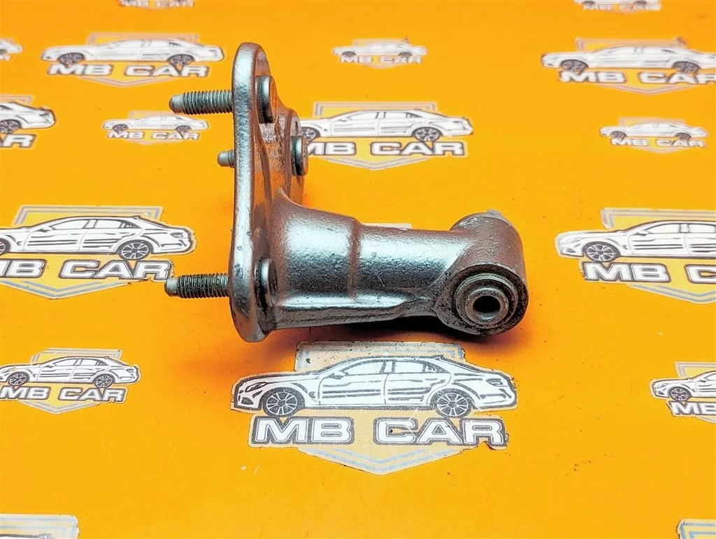 Петля двери Mercedes-Benz