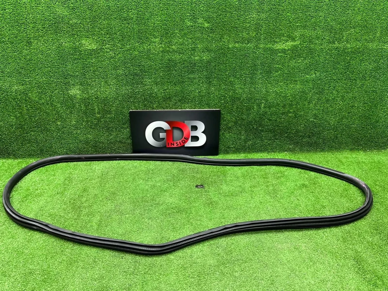 Уплотнитель проема двери BMW 3 series 19.09.2012 51727303967 F30 N55B30A, задний