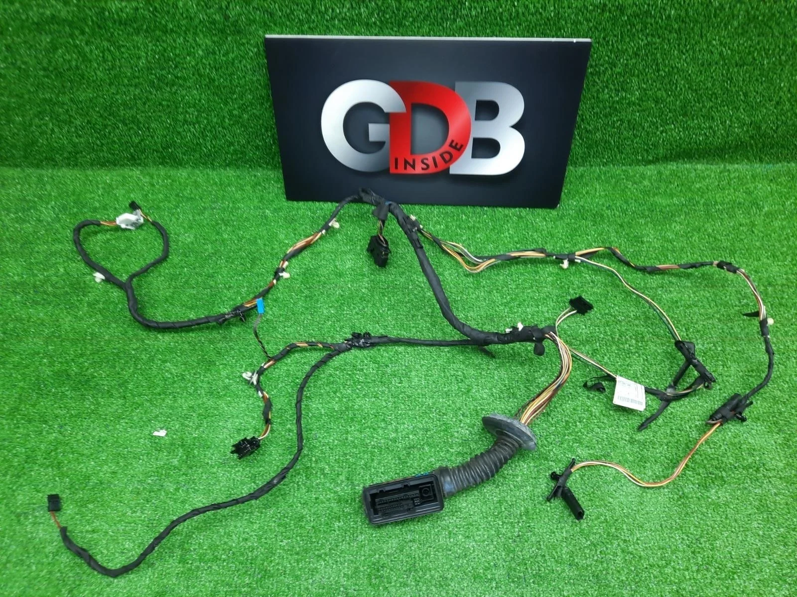 Проводка двери BMW 3 series 16.01.2013 61129313618 F30 N20B20B, передняя правая