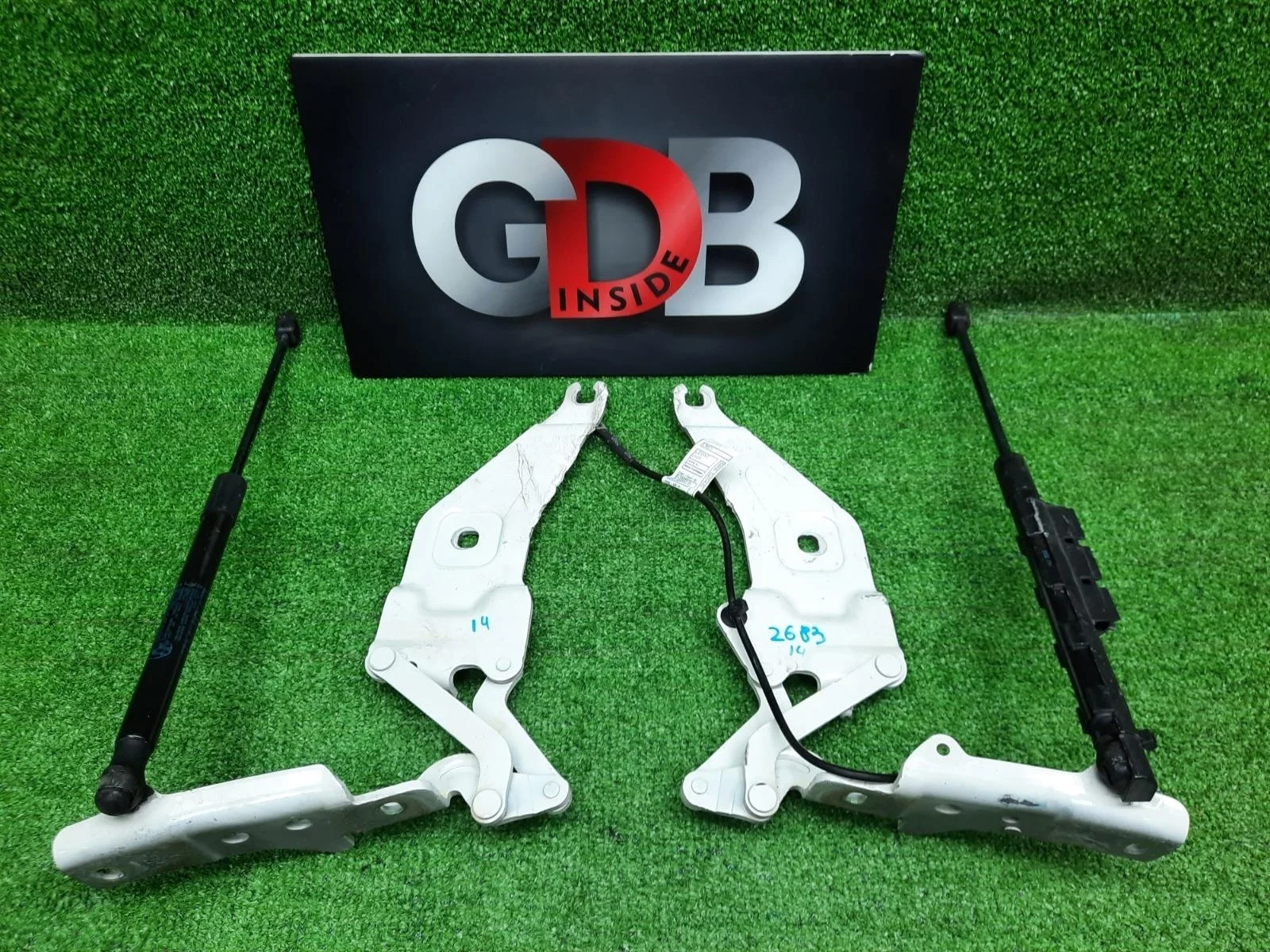 Петли капота BMW X5 23.09.2011 41007198617 E70 N55B30A