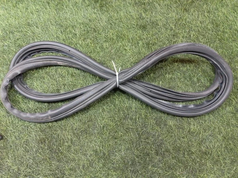 Уплотнительная резинка двери RENAULT MEGANE 2008 8200077500 К4М, задняя левая