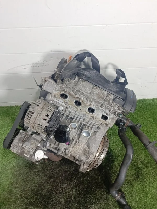 Двигатель Seat Ibiza 3 2009 BXW BXW