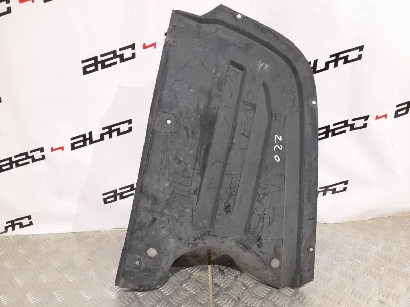 Пыльник бампера Volkswagen Passat 2008 3C0825216 B6