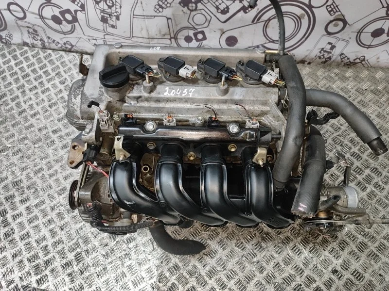 Двигатель Toyota Yaris Verso 1900021160 NCP20 2NZFE