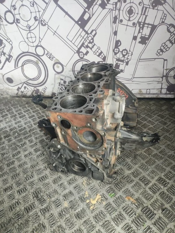 Блок двигателя Nissan Pathfinder 10102EB30A R51 YD25 DDTI