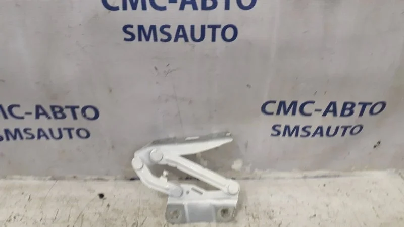 Петля капота Mercedes-Benz R-Class A2518800228 W251, правая