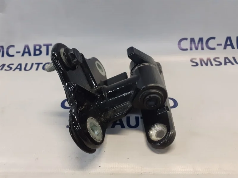 Петля двери Mercedes-Benz ML A2517300537 W164 3.5, задняя левая