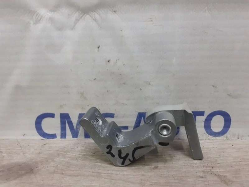 Петля двери Audi A6 Allroad 8E0831401B C6 3.2, задняя левая