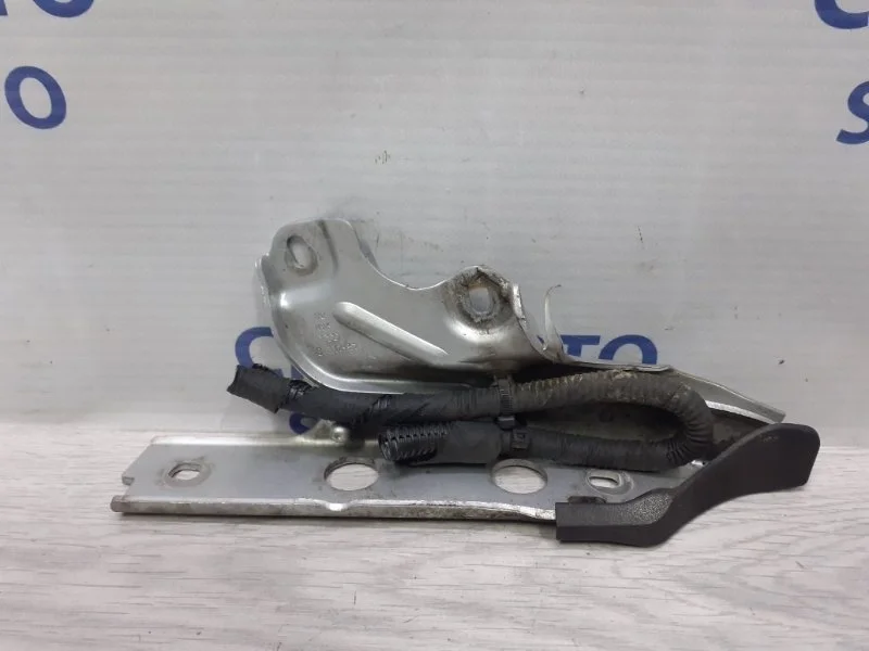 Петля капота Audi A7 2012 4G8823301E C7 3.0 CGW, левая