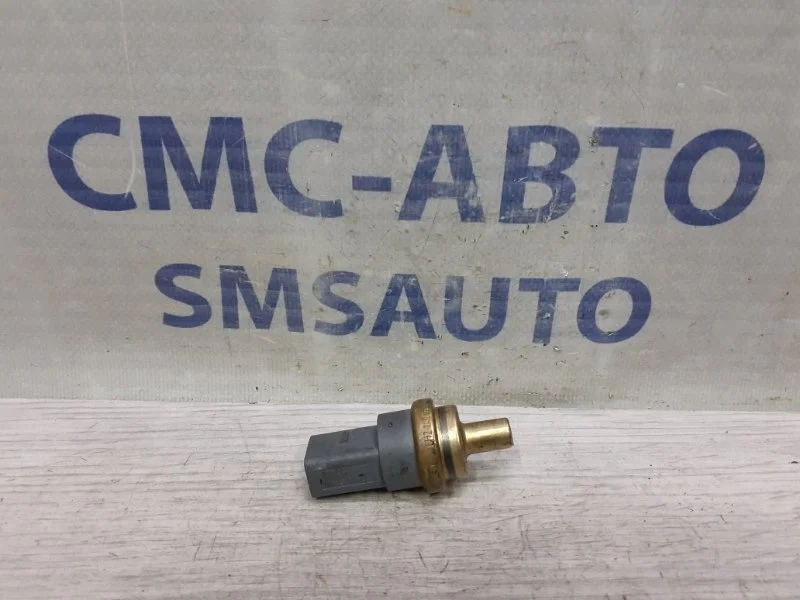 Датчик температурный Audi A8 2014 06A919501A D4 4.0 CTG