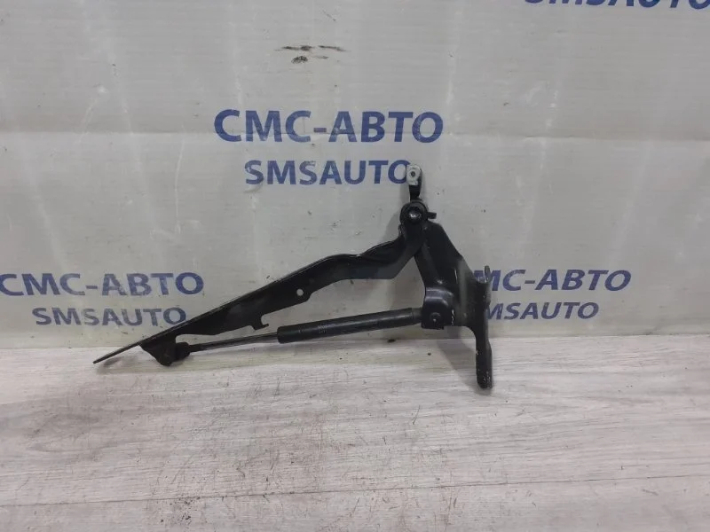 Петля капота Volvo XC60 31385815 XC60 2.0 T11, правая