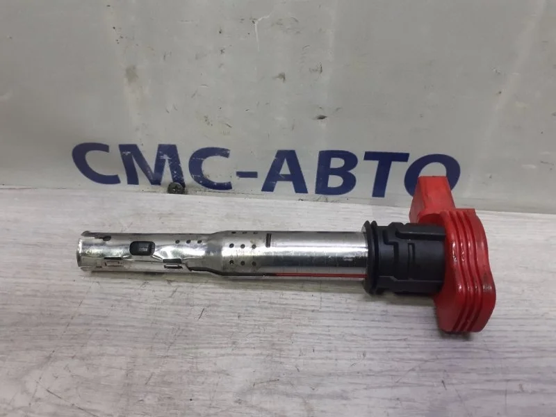 Катушка зажигания Porsche Cayenne 95860210200 958 3.0. 06EC