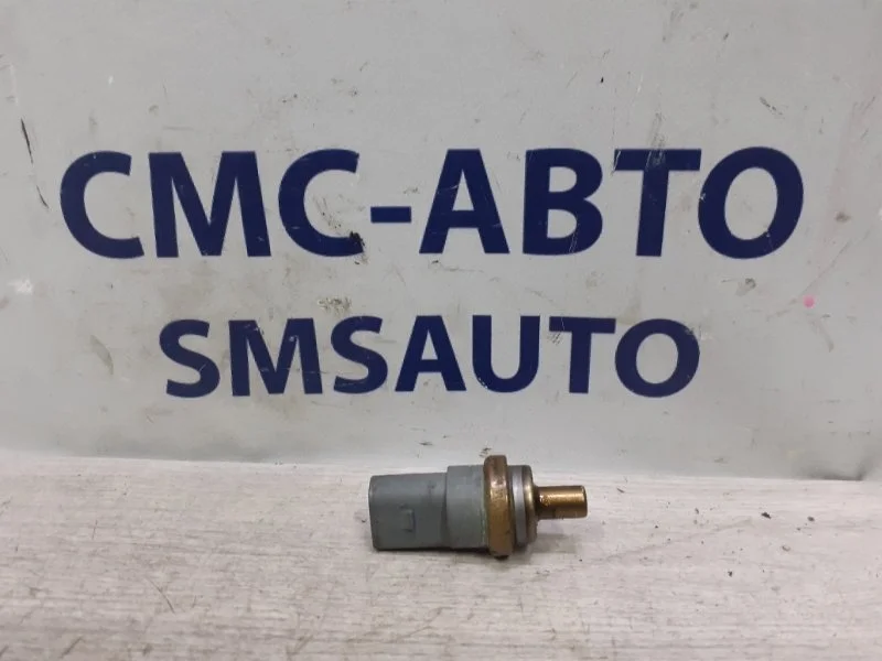 Датчик температурный Audi A6 06A919501A C7 2.8 CHV