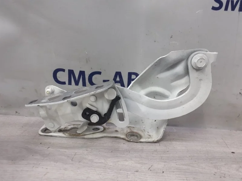 Петля капота Mercedes-Benz E-Class A2138800228 W213 654.920, правая
