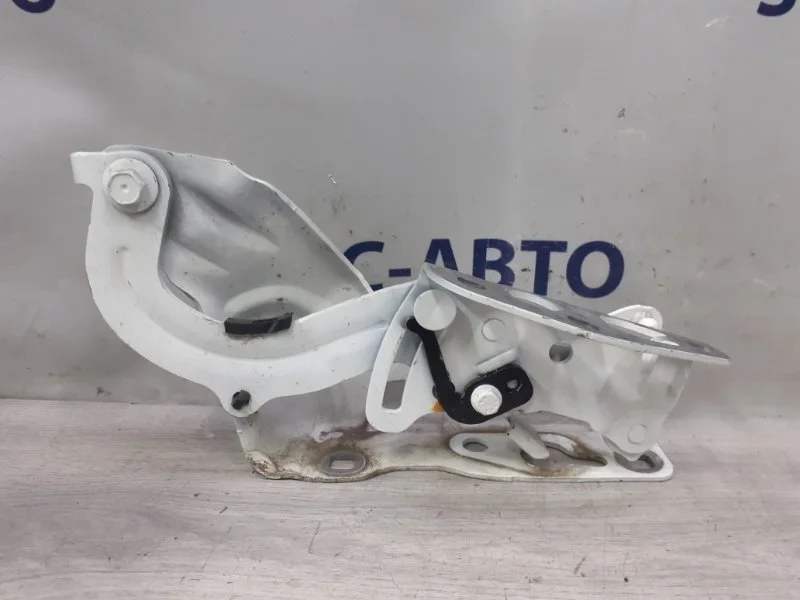 Петля капота Mercedes-Benz E-Class A2138800128 W213 654.920, левая