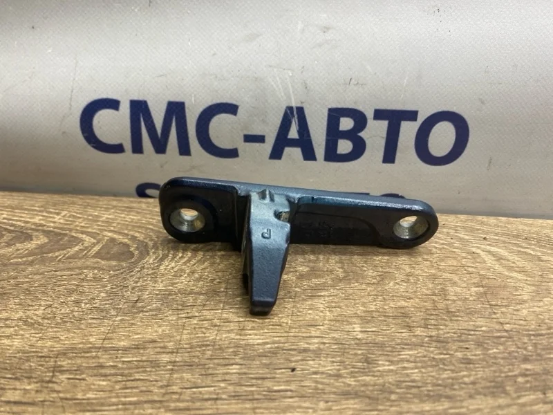 Петля двери Mercedes-Benz ML A1667300337 W166 276.955, задняя левая