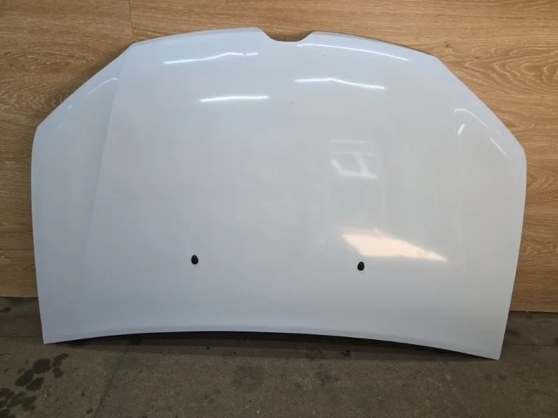 Капот RENAULT LOGAN 2018 651002659R 2