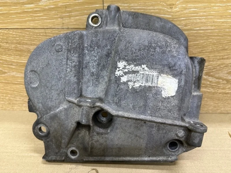 Кожух ГРМ RENAULT FLUENCE 2015 8200294625 К4М 838