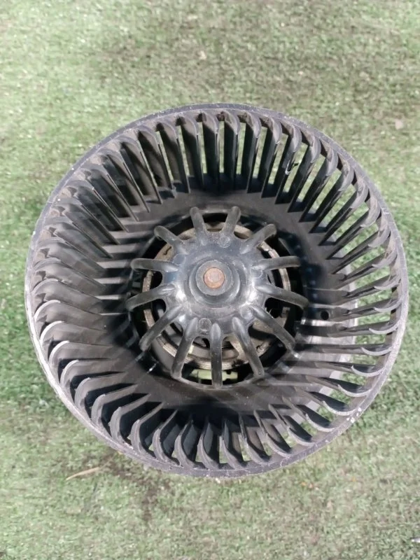 Моторчик отопителя Renault Sandero 2009-2014