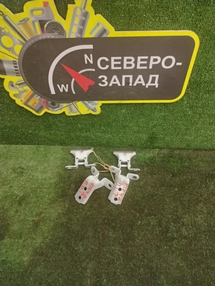 Петля двери Kia Rio 2021 793151Y000 FB G4FG, передняя левая