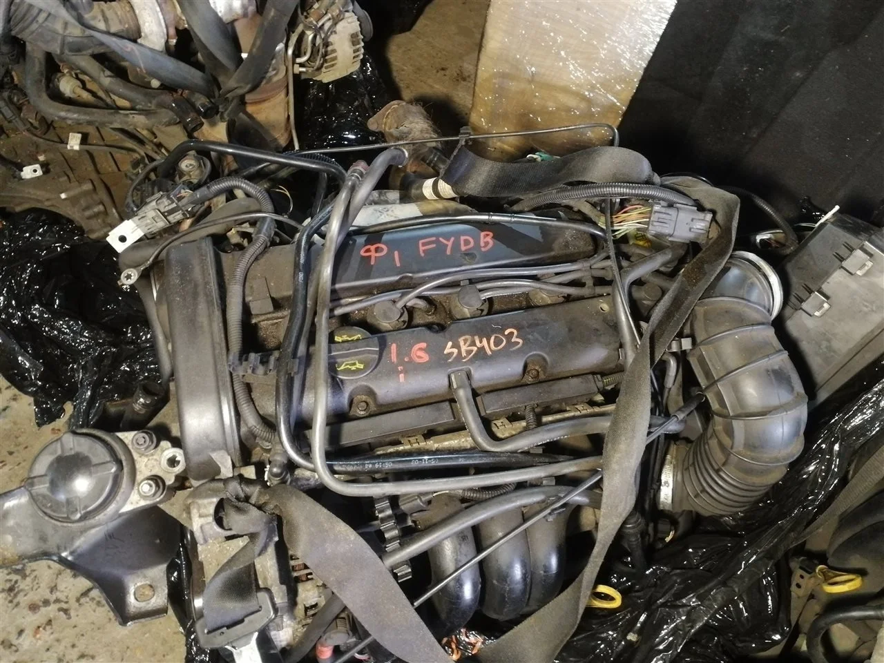 Двигатель Ford Focus 1 FYDB FYDB