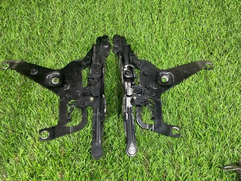 Петля капота BMW X5 41007381781 F15