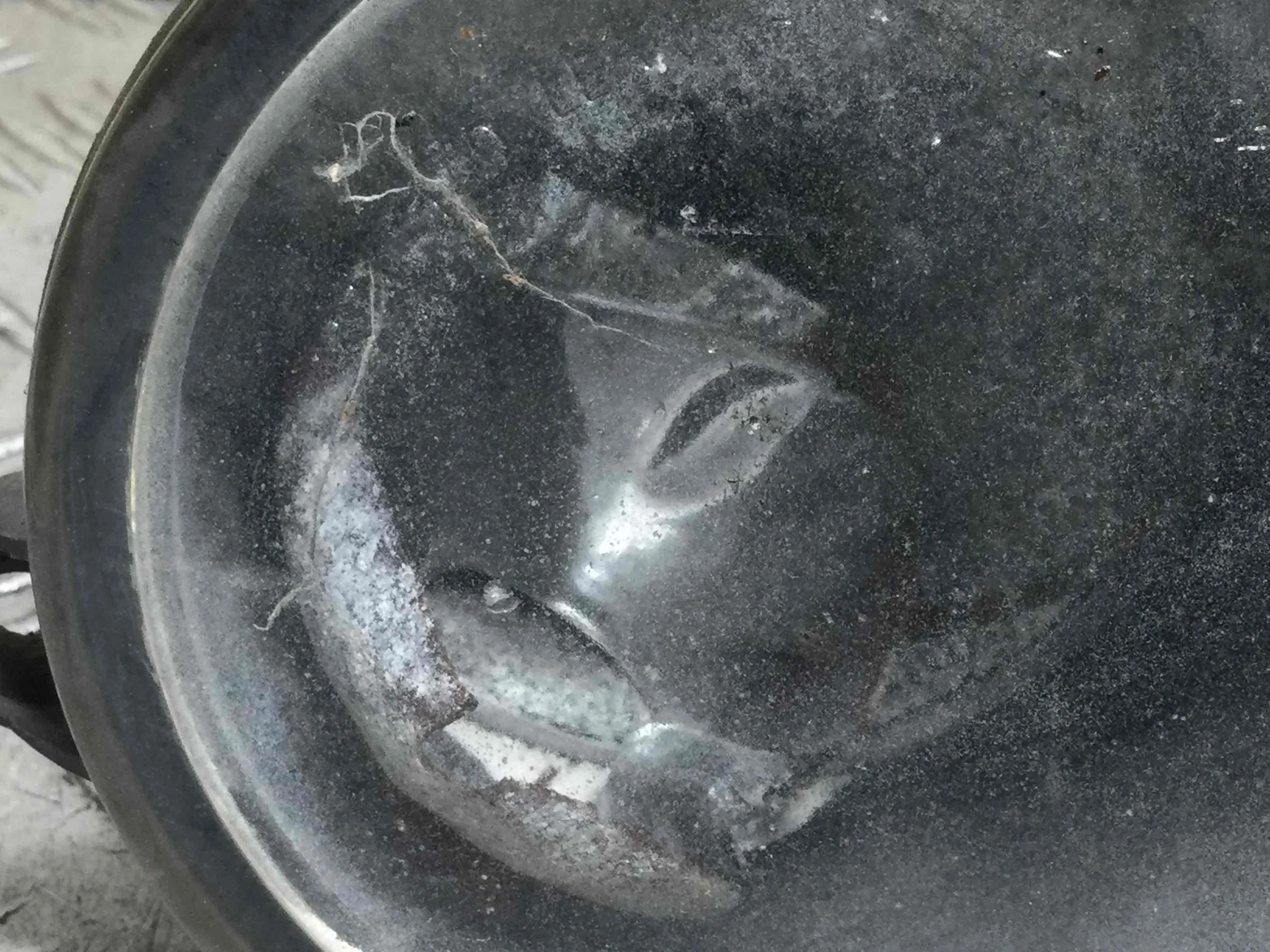 Фара противотуманная правая Land Rover Range Rover 3 поколение (2002-2005) бензин 4.4