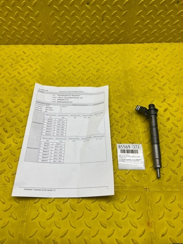 Форсунка топливная Bmw X3 2020 13538571565 G01 B57D30A 58406217