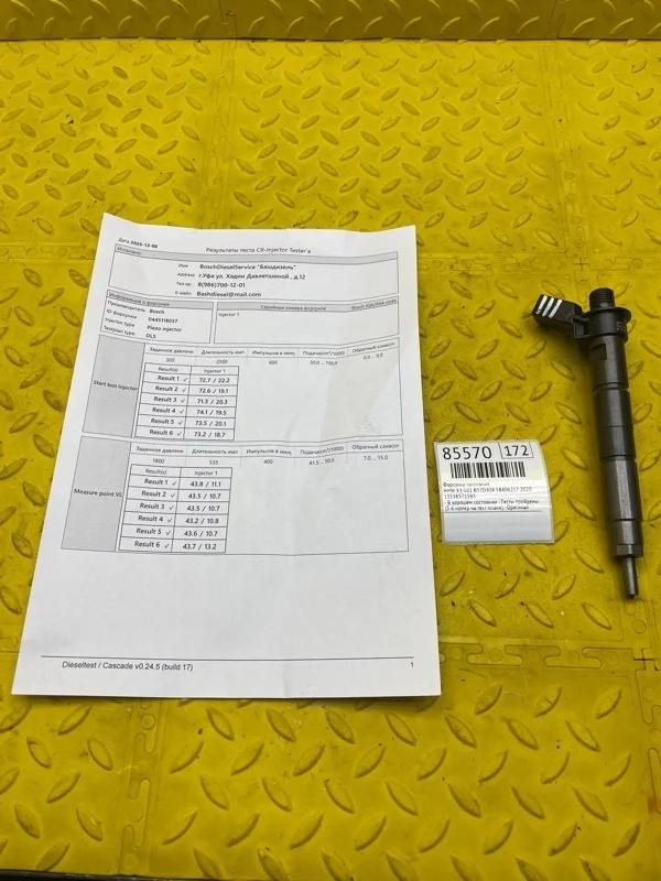 Форсунка топливная Bmw X3 2020 13538571565 G01 B57D30A 58406217