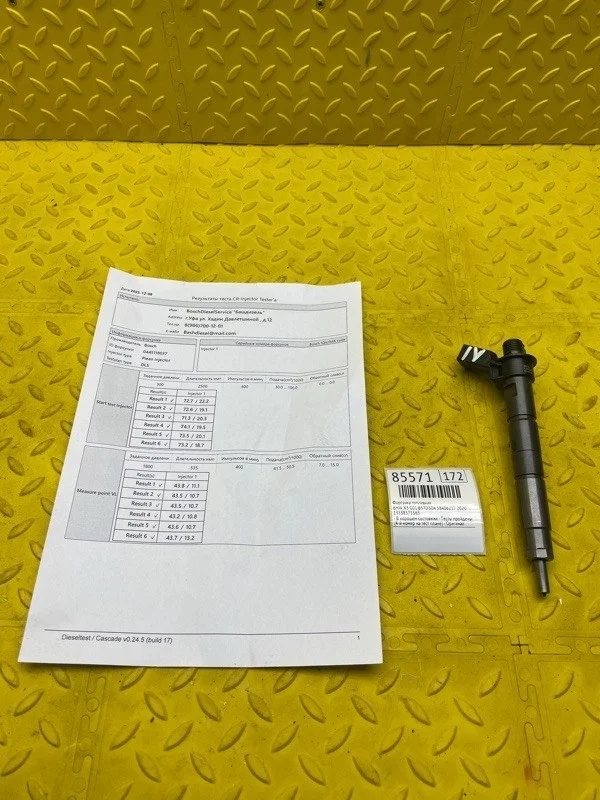 Форсунка топливная Bmw X3 2020 13538571565 G01 B57D30A 58406217