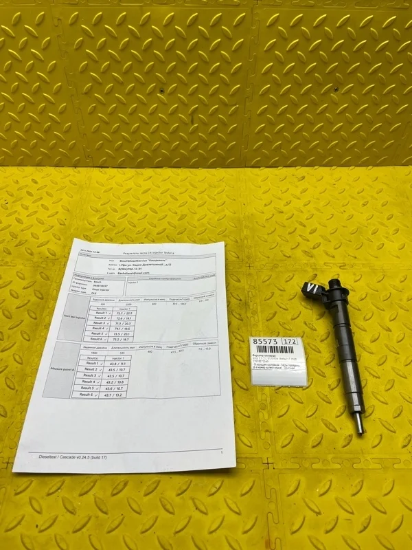 Форсунка топливная BMW X3 2020 13538571565 G01 B57D30A 58406217