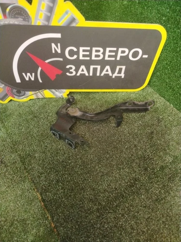 Петля капота Lexus RX300 2019 5342048150 AGL25L 8ARFTS, левая