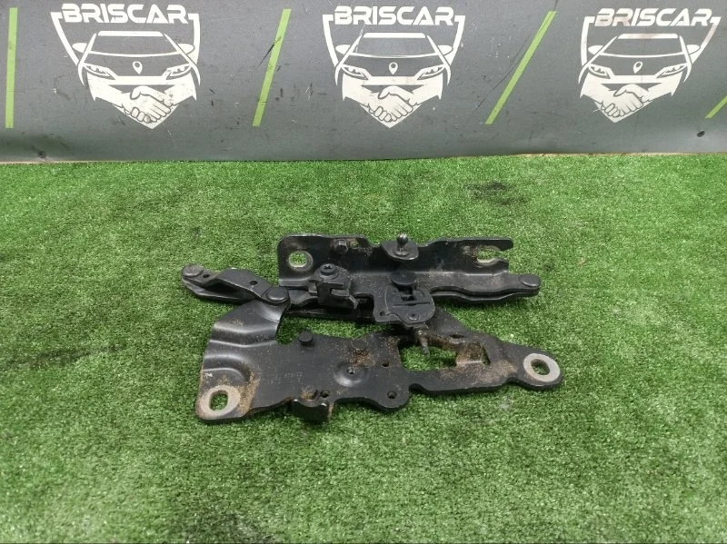 Петля капота Bmw 7-Series 2013 41617291701 F02 N52B30A, передняя левая