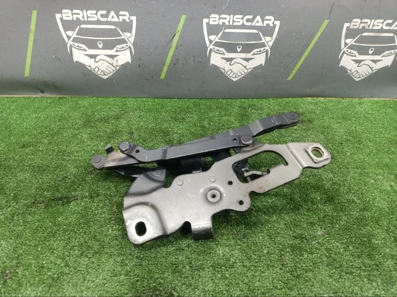 Петля капота Bmw 7-Series 2013 41617291702 F02 N52B30A, передняя правая