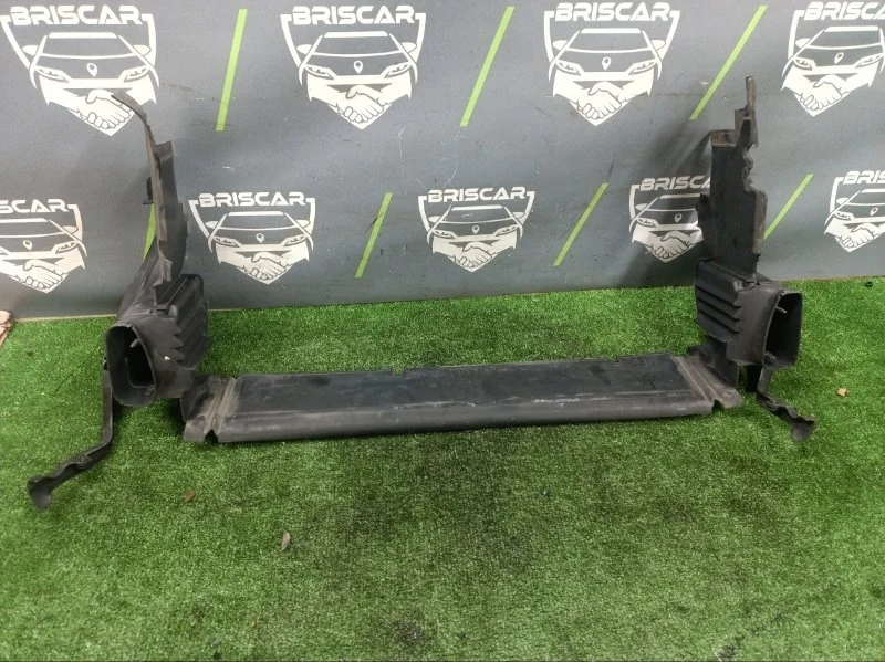 Дефлектор радиатора MERCEDES-BENZ CLS-Class 2009 A2195000316 W219 272.964 M272E35, передний