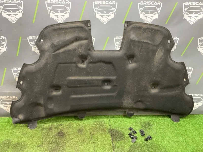 Обшивка капота Ford Focus 2009 1519736 2 MI4 QQDB 1.8, передняя