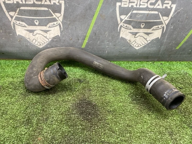 Патрубок системы охлаждения Ford Focus 2009 1384148 2 MI4 QQDB 1.8