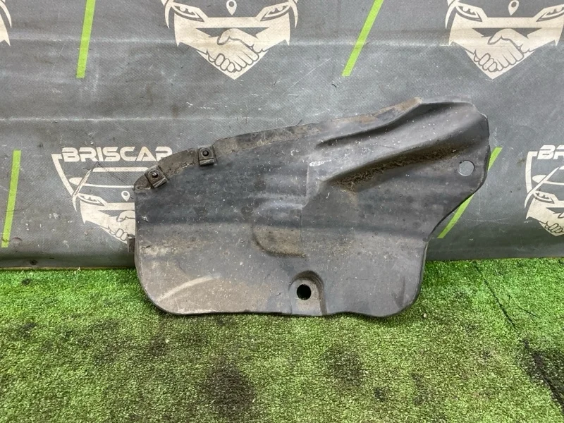 Подкрылок Hyundai Getz 2005 868211C500 TB G4HG, задний левый