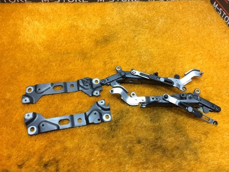 Петля капота Bmw 7-Series 2011 41007204555 F01 N63B44